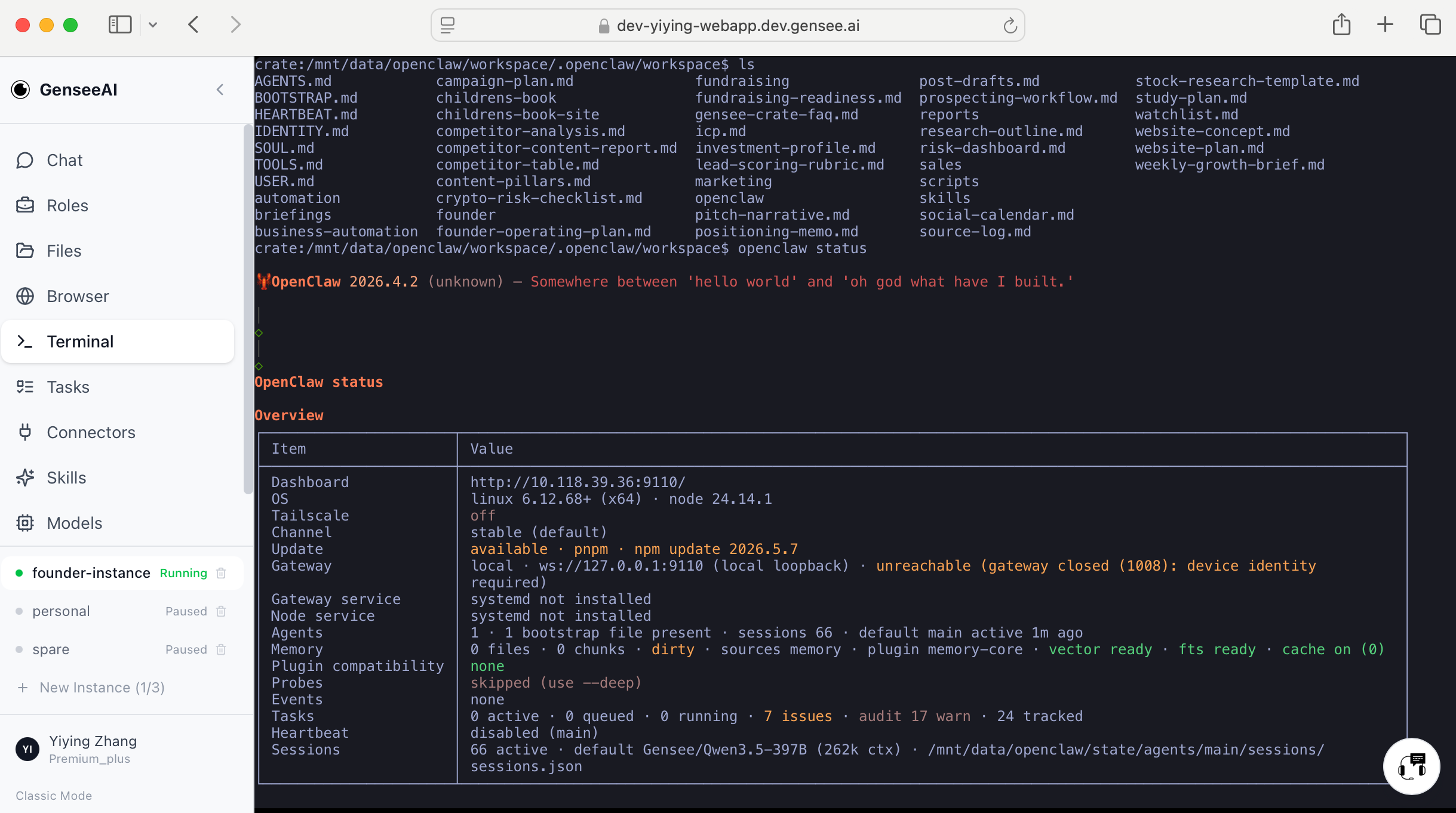 Terminal access inside the instance