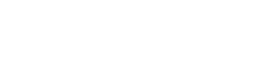 Camel AI Logo